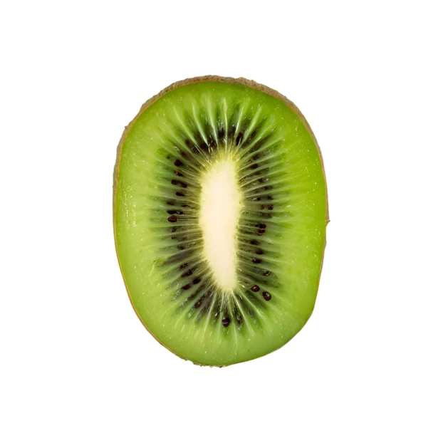 Fresh kiwi fruit slice isolated on white background