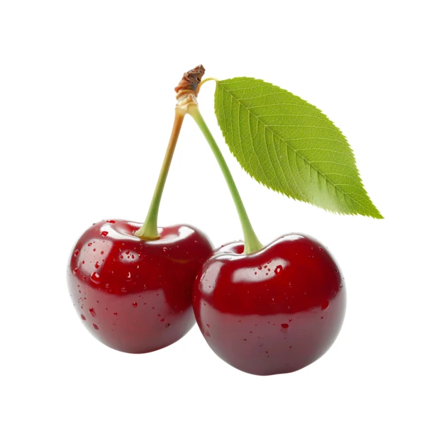 Two fresh ripe red cherries with leaf isolated on white