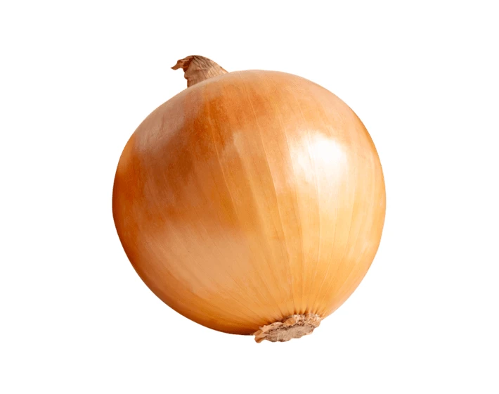 Single whole yellow onion isolated on white background