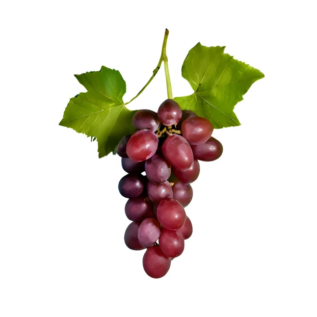 Bunch of fresh red grapes with green leaves isolated on white background