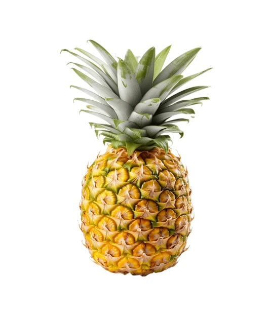 Whole ripe pineapple isolated on a white background