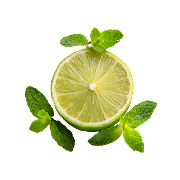 Fresh lime slice with mint leaves isolated on white