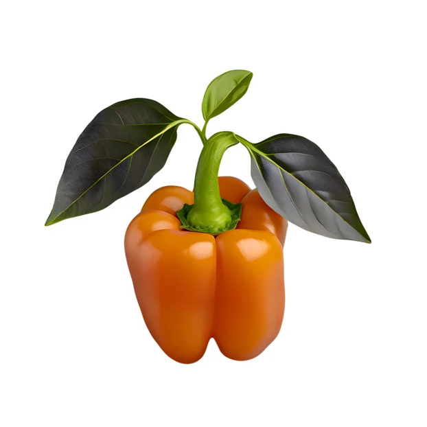 Orange bell pepper with green leaves on white background