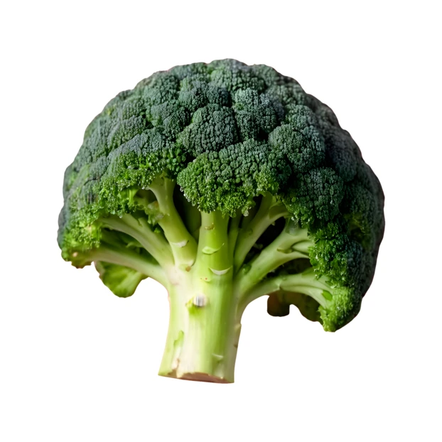 Fresh green broccoli head isolated on white background