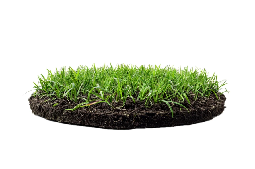 Fresh green grass patch with dark soil isolated