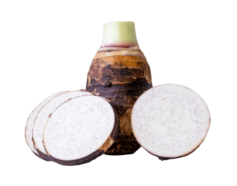 Fresh taro root and slices isolated on white background
