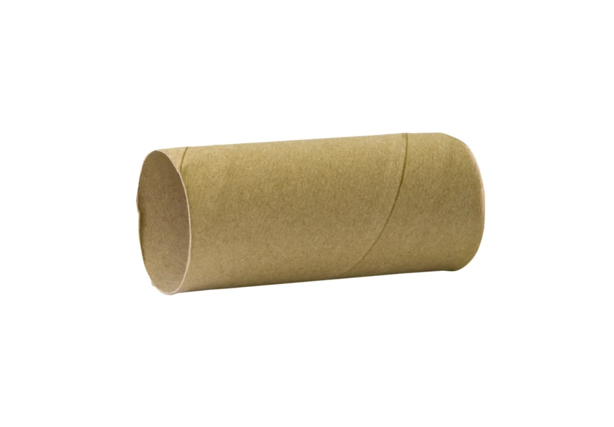 Empty cardboard toilet paper roll isolated on white background