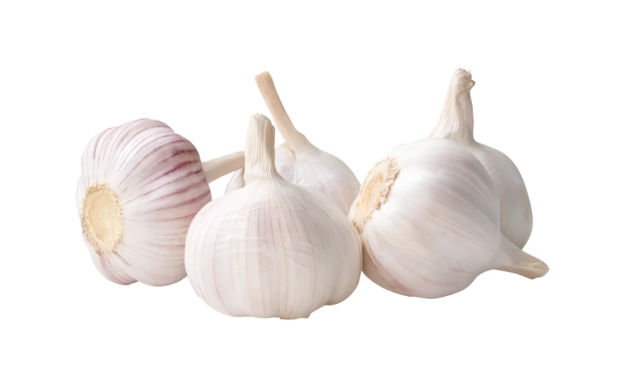 Group of fresh whole garlic bulbs isolated on white