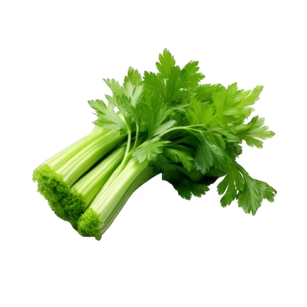 Fresh green celery stalks with leaves isolated on white