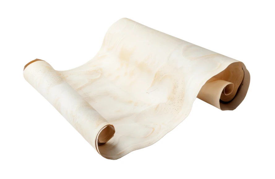 Old unrolled parchment paper scroll isolated on white background