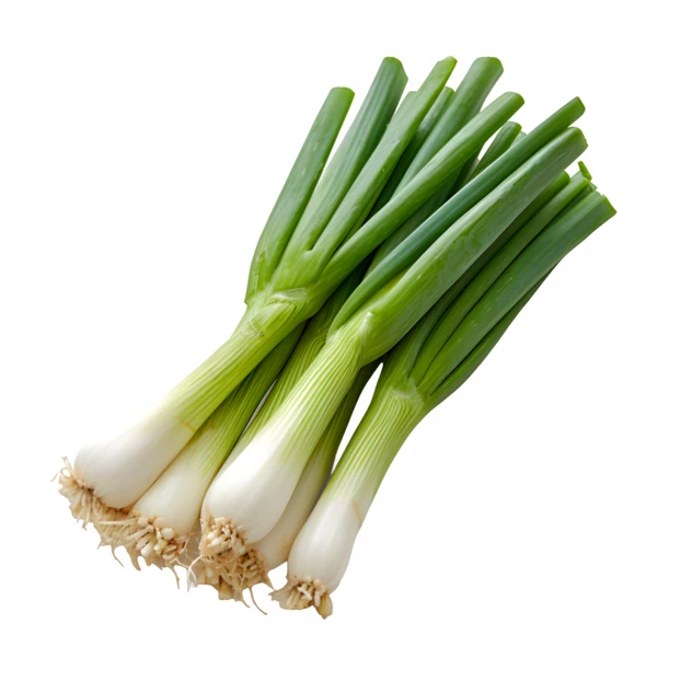Fresh bunch of green onions isolated on white background