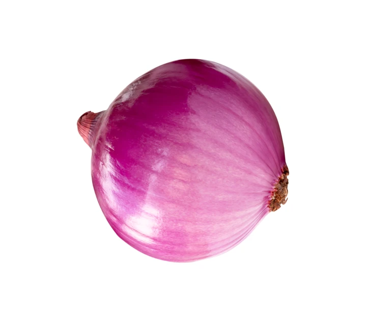 Single whole red onion isolated on white background
