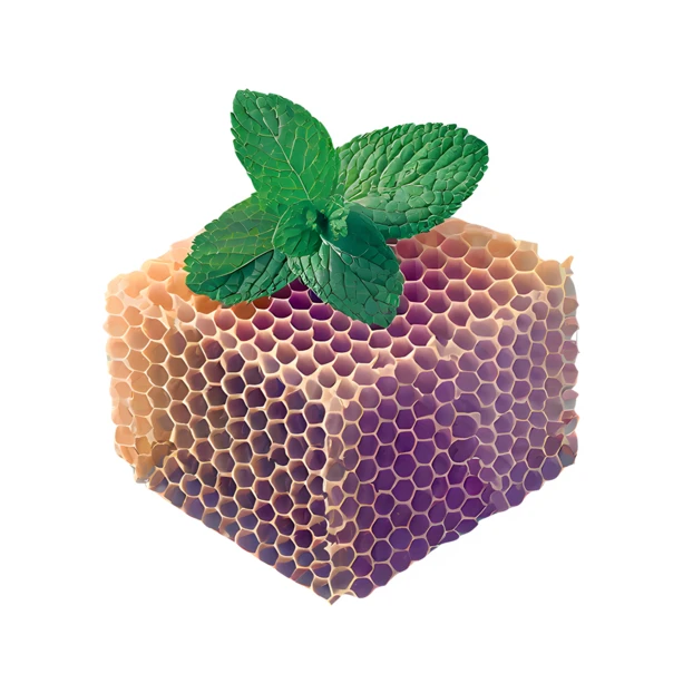 Honeycomb cube with fresh mint leaf isolated on white