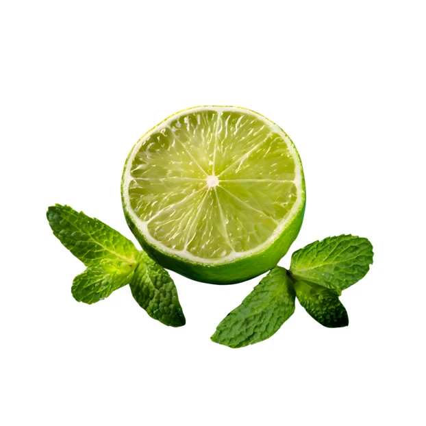 Fresh lime half with mint leaves isolated on white