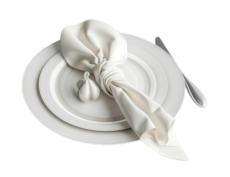 Elegant minimalist white dinnerware place setting with knotted napkin
