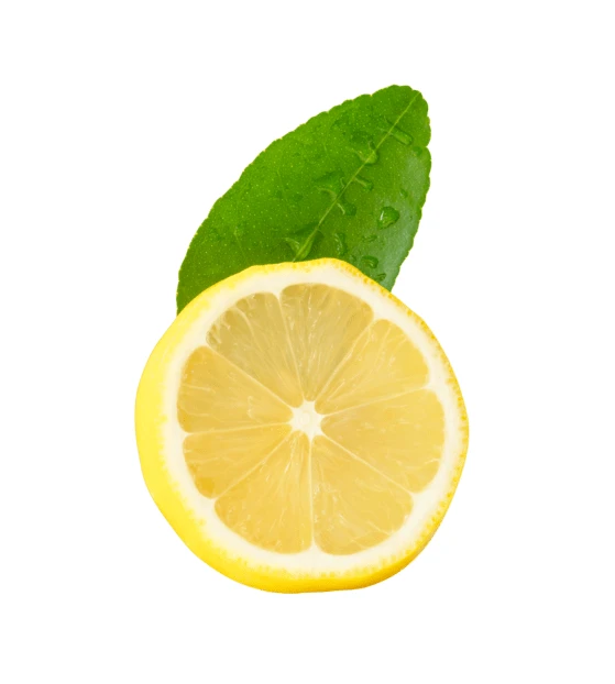 Fresh lemon slice with green leaf on white background