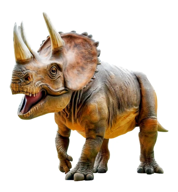 Triceratops dinosaur model isolated on white background