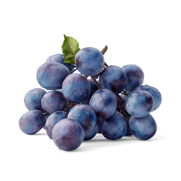 Fresh bunch of blue grapes isolated on white background