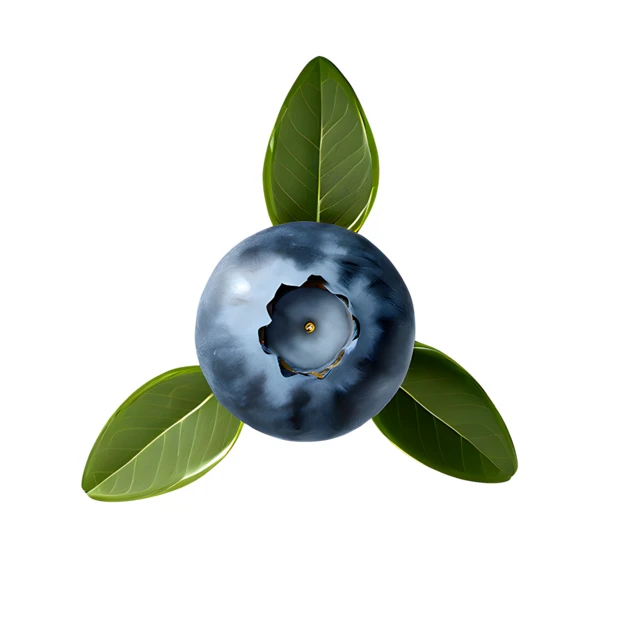 Fresh ripe blueberry with green leaves isolated on white