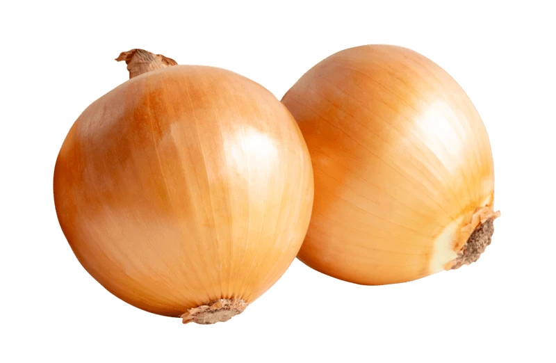 Two whole yellow onions isolated on white background