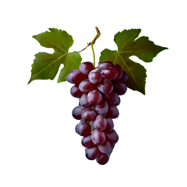 Fresh bunch of red grapes with green leaves isolated