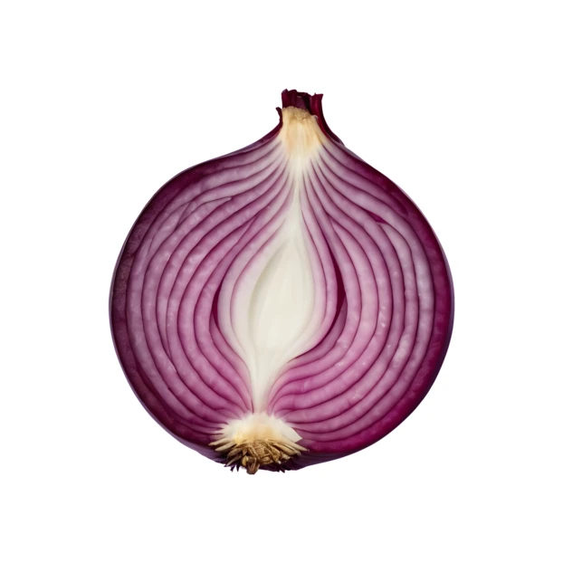 Cross section of a red onion on white background