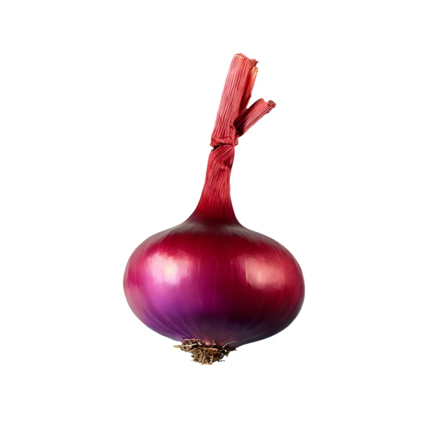 Whole red onion isolated on white background