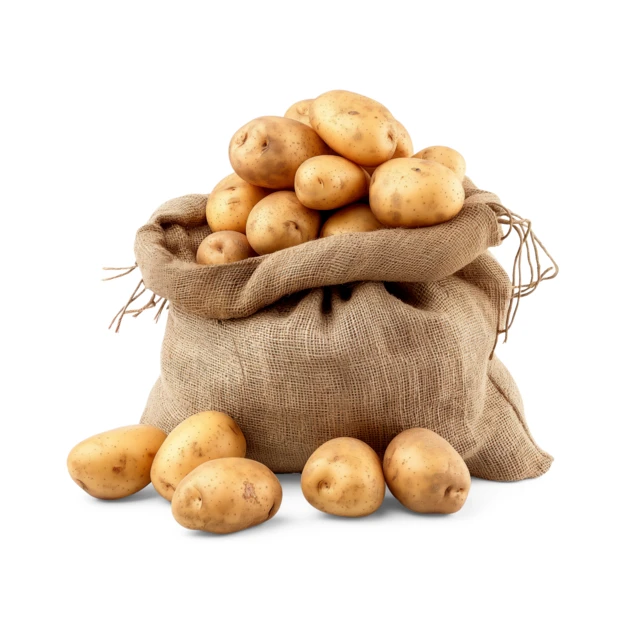 Fresh raw potatoes in a burlap sack isolated on white