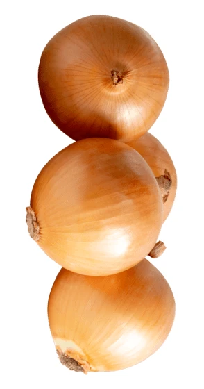 Vertical stack of three whole yellow onions on white