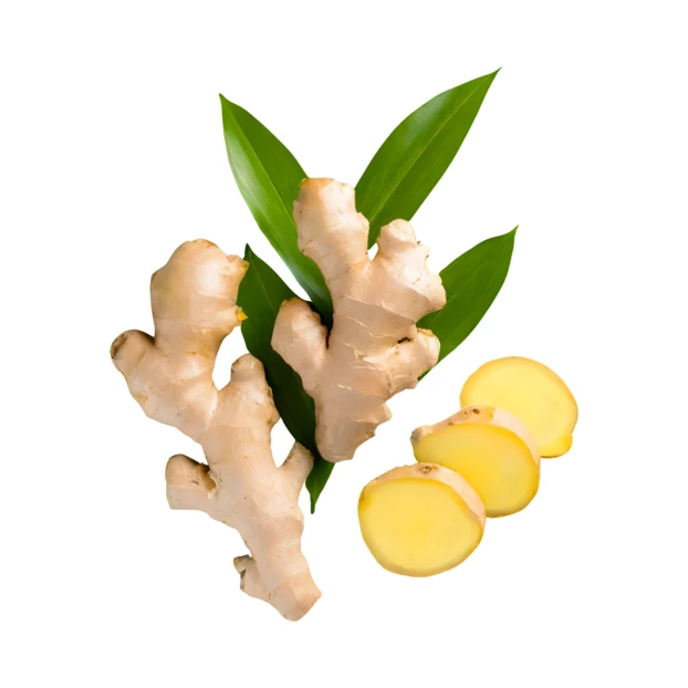 Fresh ginger roots and slices with green leaves