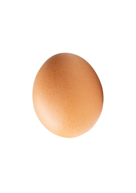 Single brown chicken egg isolated on white background