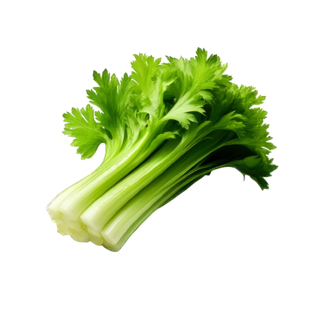 Fresh bunch of green celery stalks isolated on white background