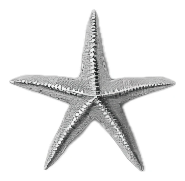 Silver metal starfish isolated on white background
