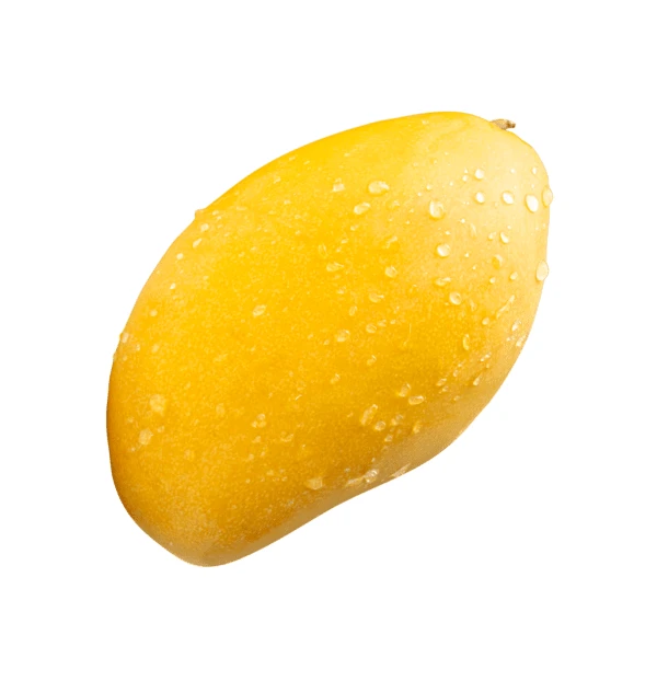 Fresh yellow mango with water droplets isolated on white