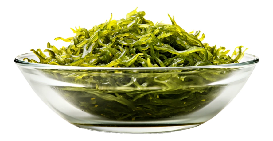 Fresh green seaweed salad in a glass bowl isolated