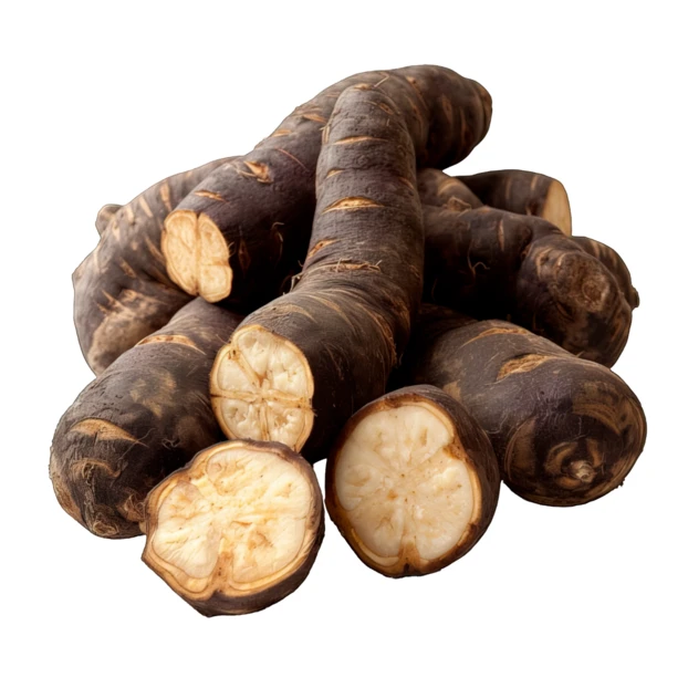 Fresh black salsify roots and slices isolated on white