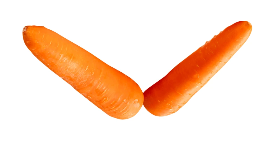 Two fresh orange carrots isolated on white background