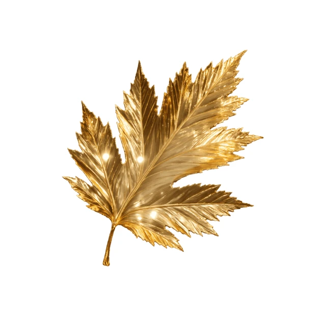 Decorative golden metallic maple leaf wall lamp on white