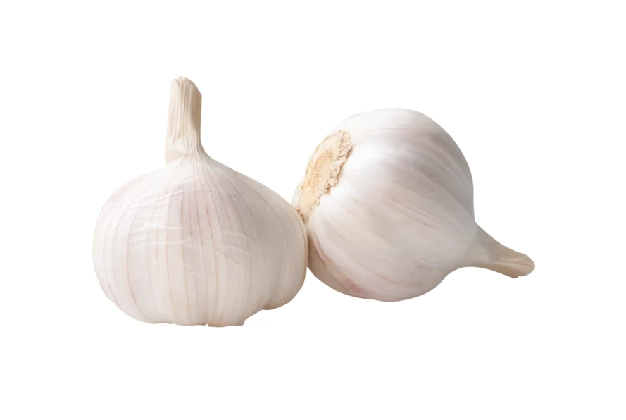 Two whole garlic bulbs isolated on white background