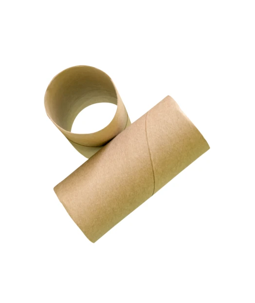 Two empty brown cardboard toilet paper rolls on white background