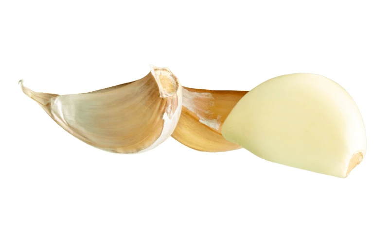 Three garlic cloves including one peeled on white background