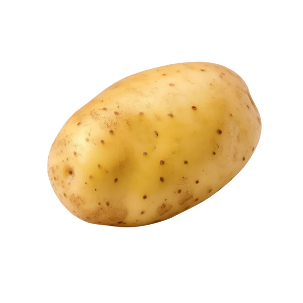 Single whole raw yellow potato isolated on white background