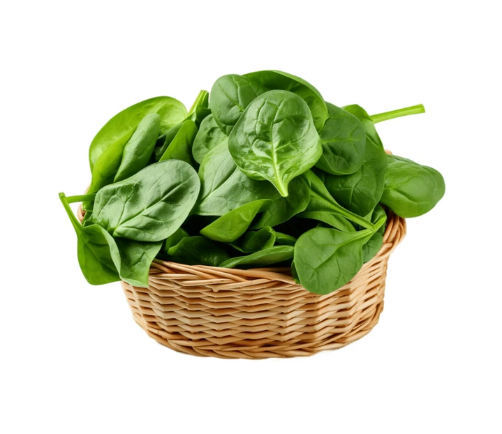 Fresh baby spinach leaves in a wicker basket isolated
