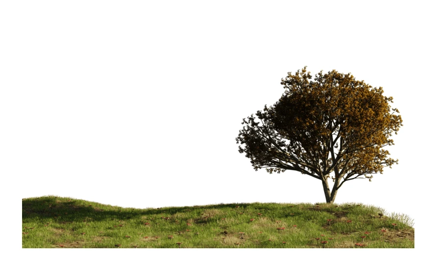 Single autumn tree on a grassy hill isolated on white