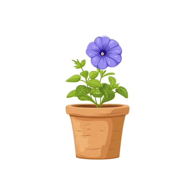 Purple petunia flower in a terracotta clay pot
