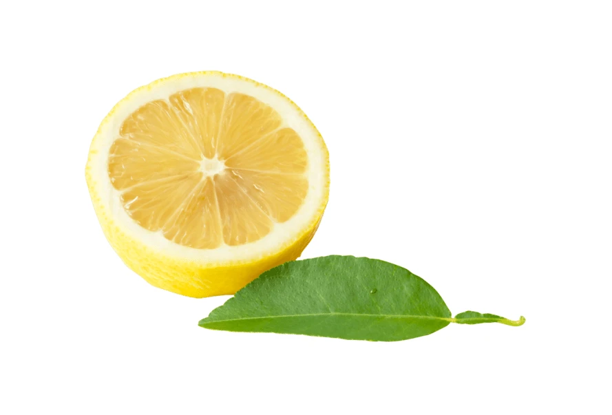 Fresh half lemon and green leaf isolated on white
