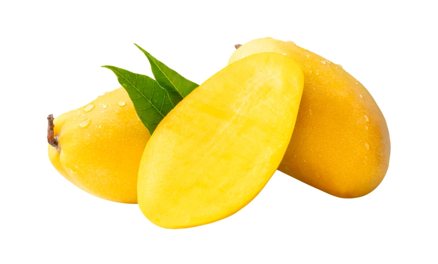 Fresh ripe yellow mangoes with leaves on white background