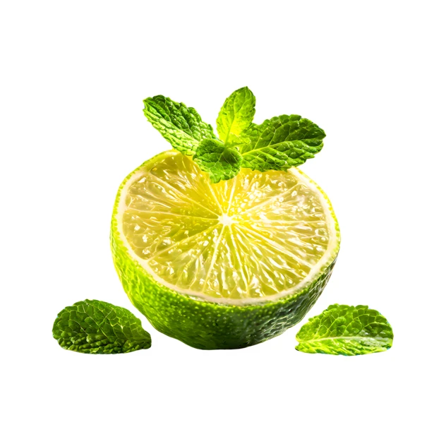Fresh lime half with mint leaves on white background