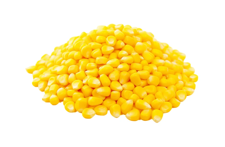 Pile of sweet corn kernels isolated on white background