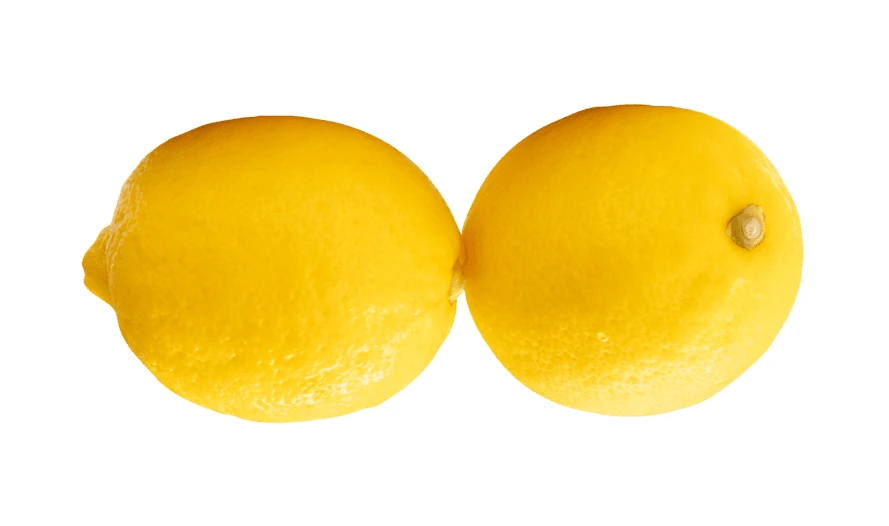 Two whole yellow lemons isolated on white background